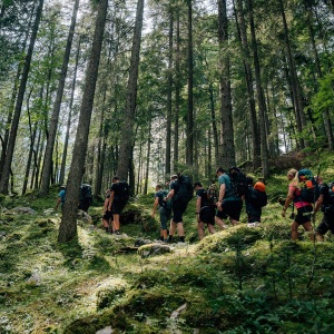 Der pco Gipfelsturm - Die Aussicht im Wald auf dem Weg zur Zugspitze