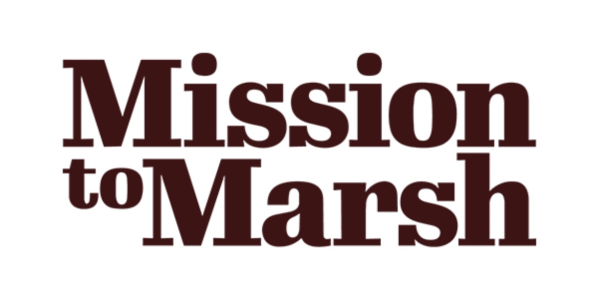 Mission to Marsh